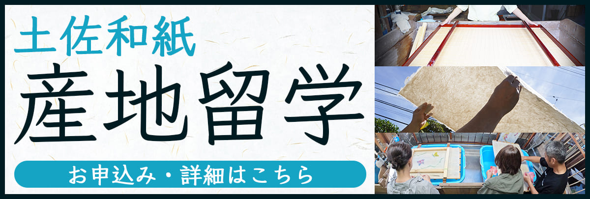 土佐和紙産地留学！美大芸大就活にお勧め