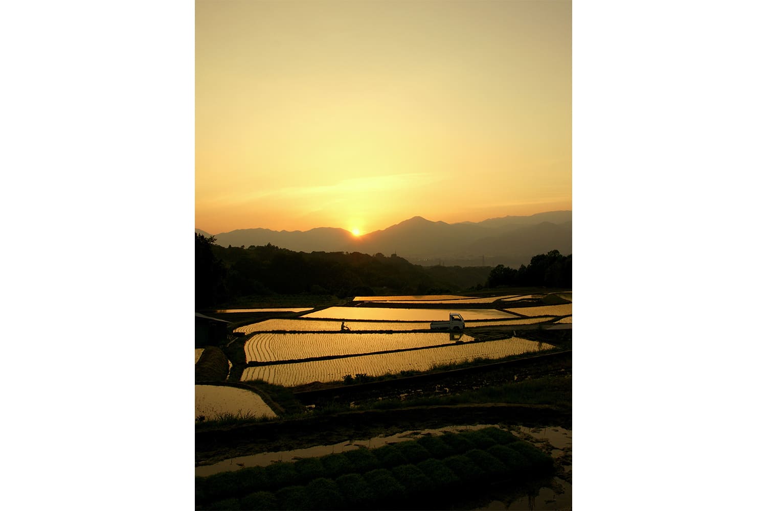 紙漉きをする職人