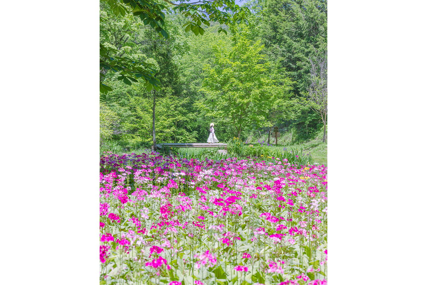 石州和紙の紙を漉く男性職人