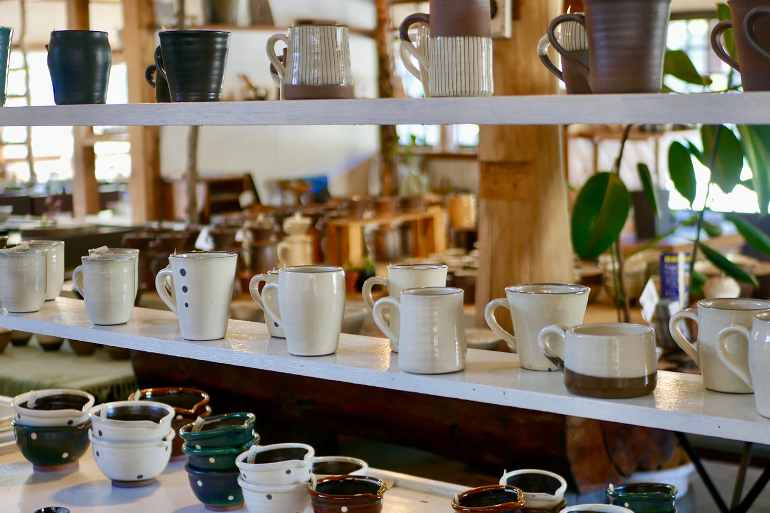 グラスやコップが陳列される様子