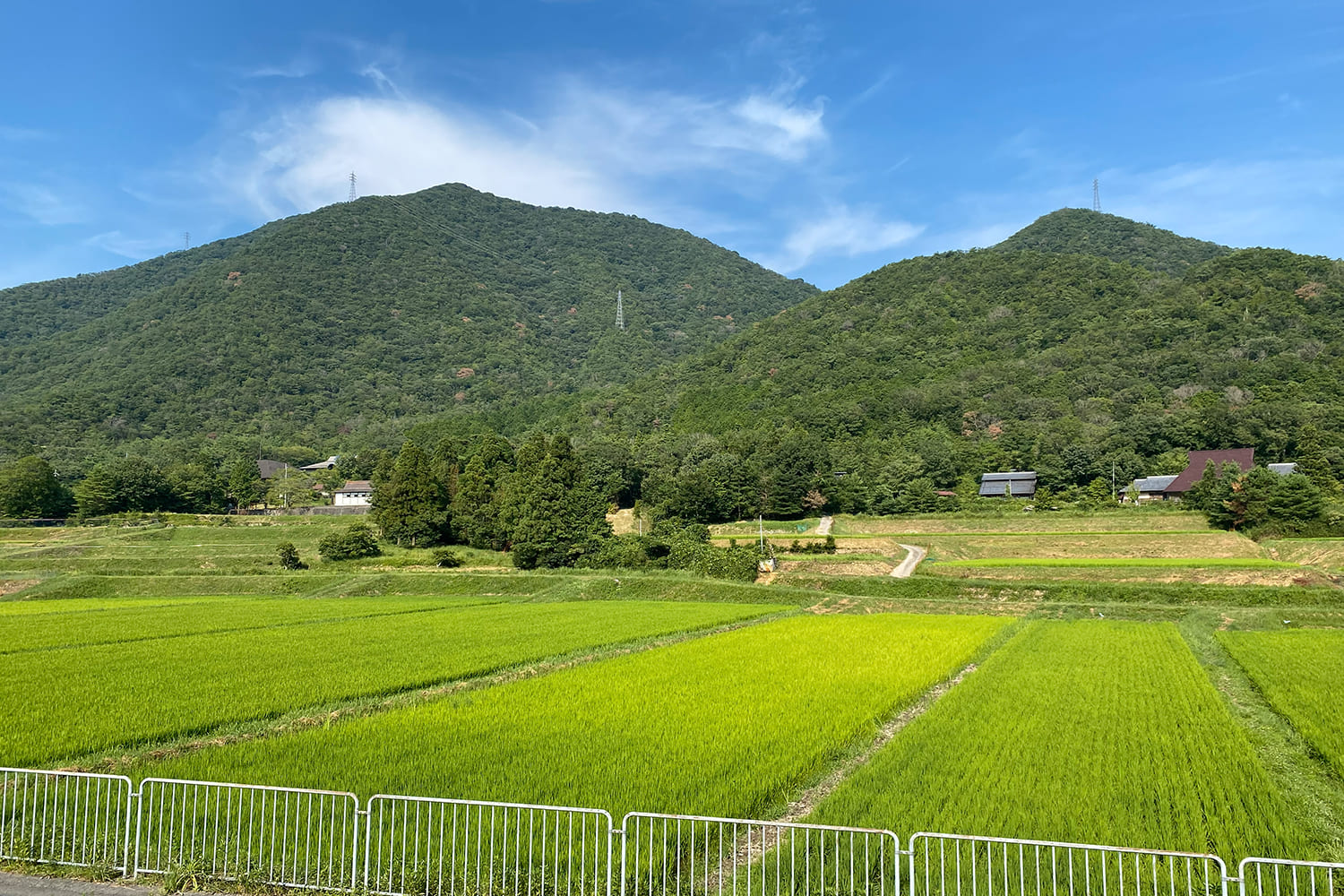 丹波篠山・今田地区の穏やかな田園風景